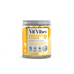 Vit Vibes Immunity Power, желеобразные таблетки, 60 штук