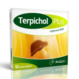 Terpichol Plus, 60 капсул,    популярные